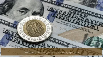 أحدث تحرك بالبنوك.. سعر الدولار أمام الجنيه المصري خلال تعاملات الخميس 26 ديسمبر